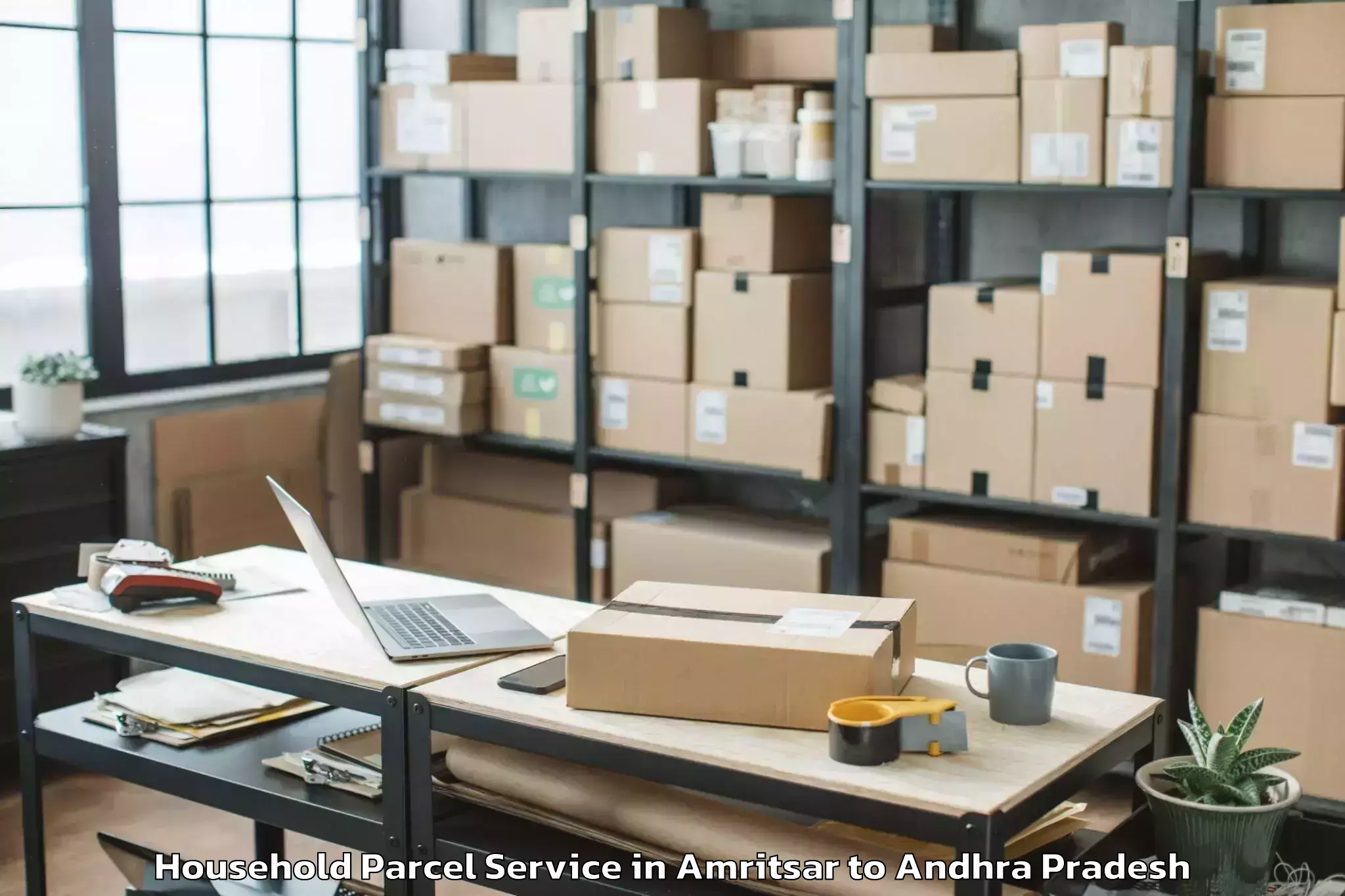 Professional Amritsar to Ongole Household Parcel